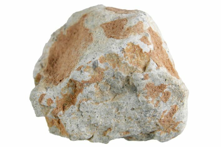 Lunar Meteorite ( g) - Bechar #360421